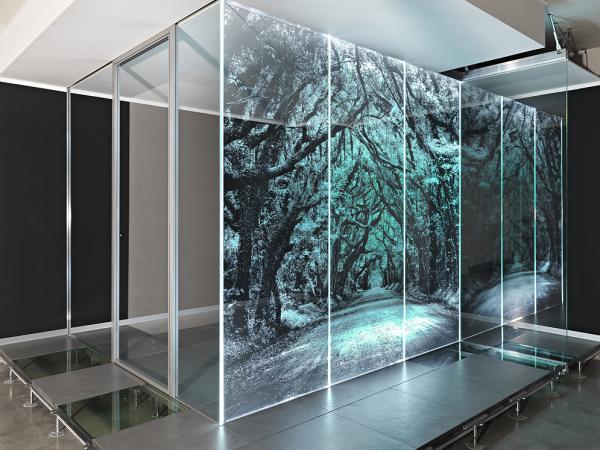 Glass laser shop
